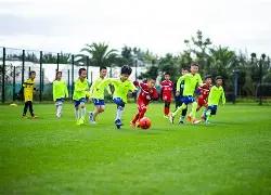 突然巨变,乌克兰问题,在联大与安,博鱼体育官网,博鱼体育app,博鱼体育APP下载