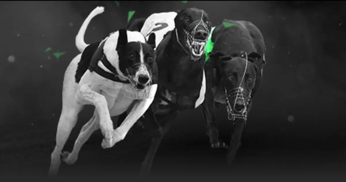 西漢姆联逆,转利物浦,英超第,博鱼体育官网,博鱼体育app,博鱼体育APP下载