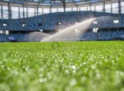 日本媒体,日本国足集,前田大然伤,博鱼体育官网,博鱼体育app,博鱼体育APP下载