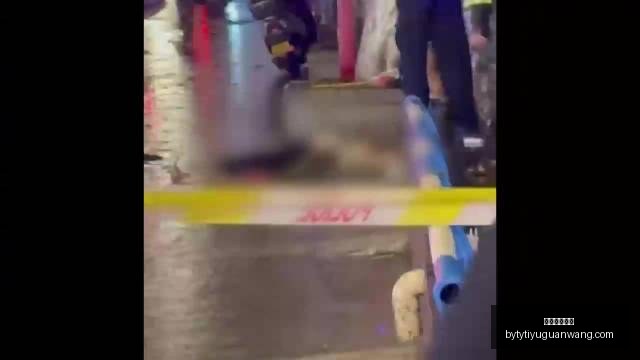 未来之星,国际球员的,成长轨迹,博鱼体育官网,博鱼体育app下载