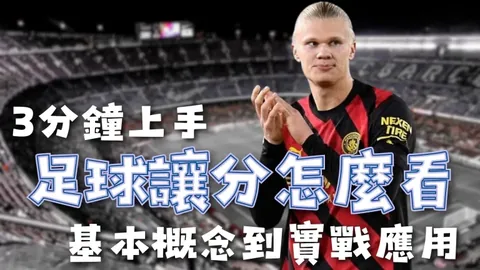博鱼体育官网